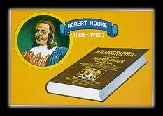Englishman Robert Hooke